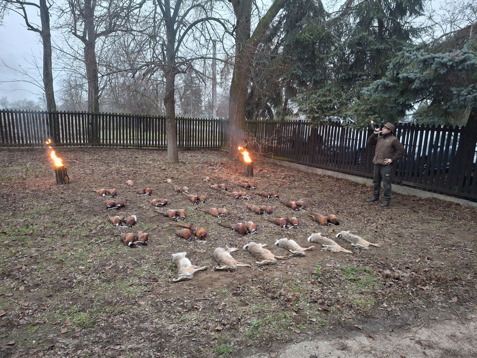 Niederwildjagd in Komitat Csongrád