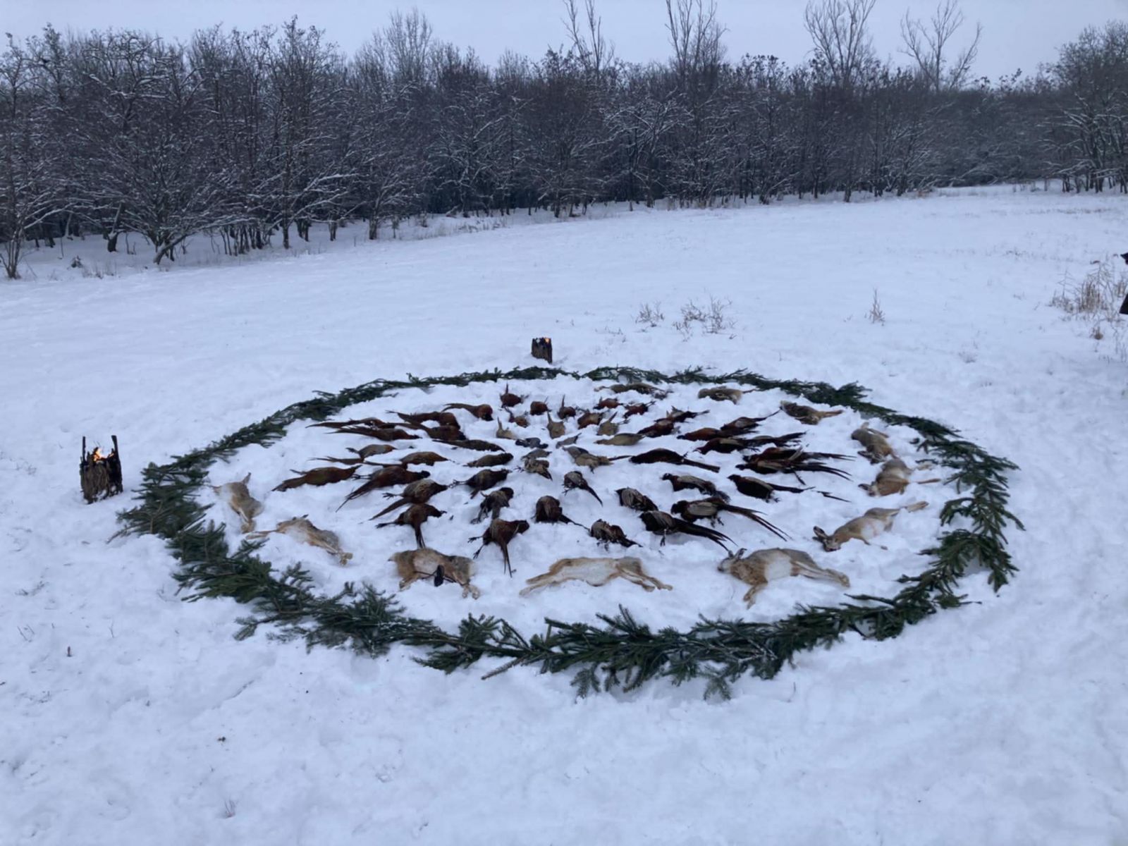 Niederwildjagd in der nähe Szentes