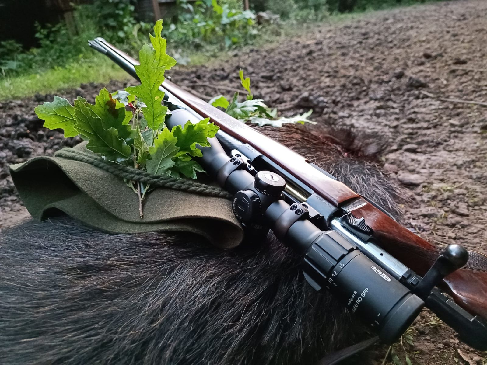 Keiler und Kahlwildjagd direkt bei der österreichsiche Grenze (Privatrevier)