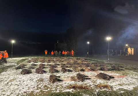Riegeljagd in der nähe Österreich