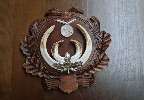 Keiler und Kahlwildjagd in Ost-Ungarn in der weltberühmtes Gúth Jagdrevier